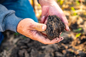 Cargill_Soil_Vinton_0402